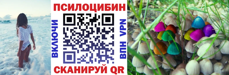 закладки  Омск  Галлюциногенные грибы Magic Shrooms 